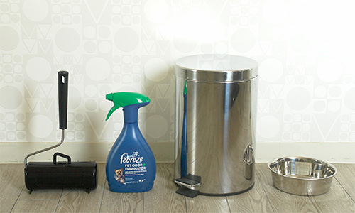 ワンちゃん用のアメニティー